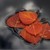 :iconeva-satis: