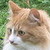 :iconeva20020987: