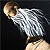 :iconevahan: