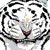 :iconevaluu: