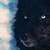 :iconevanesence: