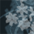 :iconevangelinetango: