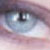 :iconevangreenleaf: