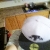:iconevanream13: