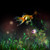 :iconevanux: