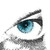 :iconevd-design: