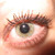 :iconeve-linka: