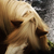 :iconeve-of-dreams: