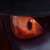 :iconevelyn-soldier:
