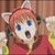 :iconevelynekosempai:
