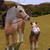 :iconevening-knight15: