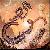 :iconeveningdragon: