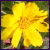 :iconeveningsky:
