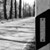 :iconeventcolor: