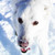 :iconeveosin129: