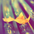 :iconever-kitten: