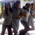 :iconeverella: