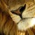 :iconevergirl159: