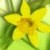 :iconevermore10: