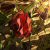 :iconevernever-panophobia: