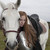 :iconevernewblowingwind: