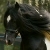 :iconeversius: