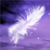 :iconeverskye: