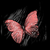 :iconevery-word-i-type: