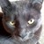 :iconeverydayruby: