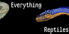 :iconeverything-reptiles: