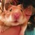 :iconeverythingalexandra: