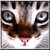 :iconevetus: