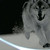 EveWolf101 :iconevewolf101: