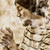 :iconevgenymate: