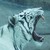 :iconevginiodeltigeros: