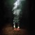 :iconevglena: