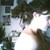 :iconevhappyil: