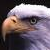 :iconevil-eagle: