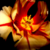 :iconevil-squffin: