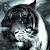 :iconevil-water-dragon: