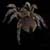 :iconevilblackspider: