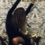 :iconevilc00kiex3: