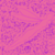 :iconevilchocolate46:
