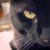 :iconevildarksoul93: