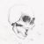 :iconEvilDoc:
