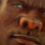 :iconeviledison: