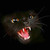 :iconevilexart: