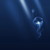 :iconeviljellyfish: