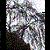 :iconevilnocturnal: