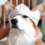 :iconevilomega13: